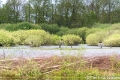 Het Goor-5067